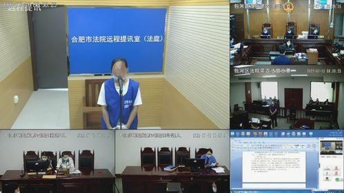 13人獲刑 安徽伯爵莊園 養(yǎng)老詐騙案宣判