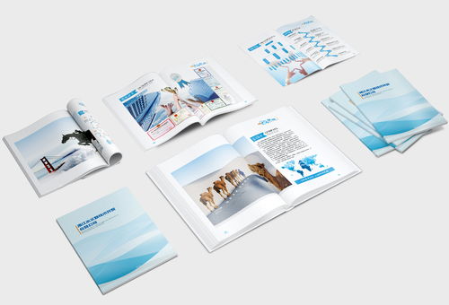 企業(yè)畫冊 公司簡介 產(chǎn)品畫冊 科技畫冊 商務畫冊