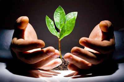 廣東規(guī)模領先的廣州婚姻咨詢公司——清意雅素商務服務